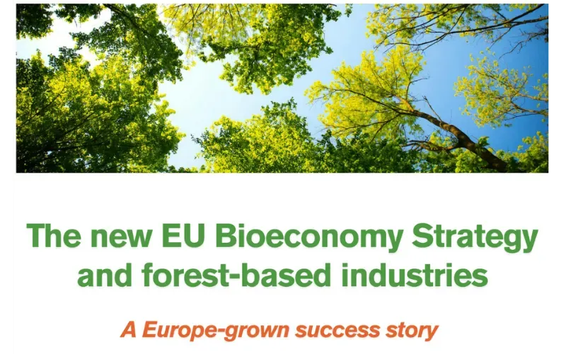 The new EU Bioeconomy Strategy and forest-based industries – A Europe-grown success story