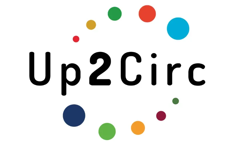 Product as a service: Enabling circularity through servitization