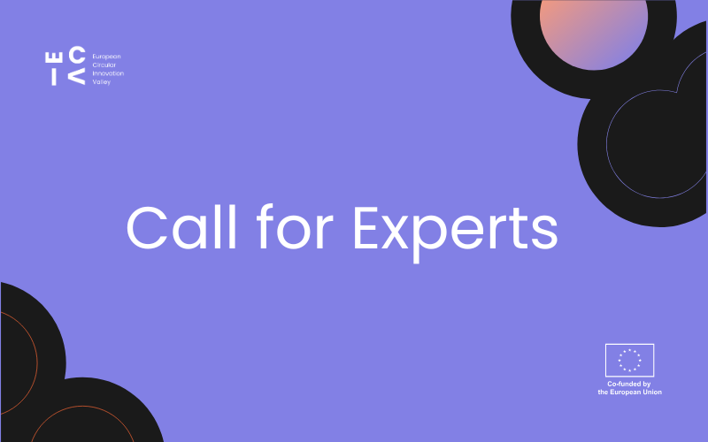 Call for Experts